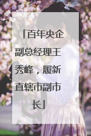 百年央企副总经理王秀峰，履新直辖市副市长